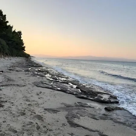 Sea The Art *